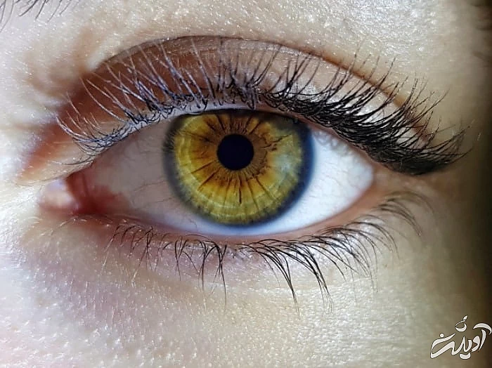 تفاوت اکستنشن مژه 